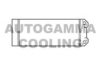 AUTOGAMMA 105393 Heat Exchanger, interior heating